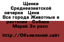 Щенки Среднеазиатской овчарки › Цена ­ 30 000 - Все города Животные и растения » Собаки   . Марий Эл респ.